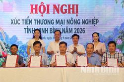 Tăng cường xúc tiến thương mại, mở rộng thị trường tiêu thụ nông sản