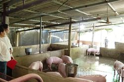 Từ nguồn lực quốc gia đến sức bật vùng quê Chí Tiên