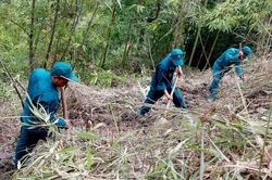 Góp sức đưa đồng đội trở về
