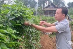 Những mô hình kinh tế hiệu quả ở Bạch Thông