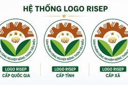 Số hóa bình chọn RISEP: Những bước đi đầu tiên
