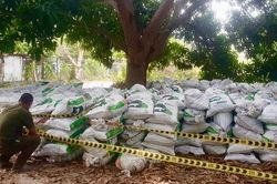 Phát hiện, xử lý bãi tập kết cát trắng lậu với số lượng 'khủng' tại Khánh Hòa
