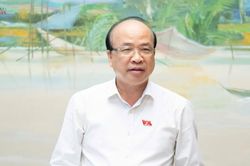 Thường trực Ủy ban Pháp luật và Tư pháp thẩm tra sơ bộ dự án Luật Trưng mua, trưng dụng tài sản (sửa đổi)