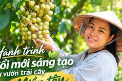 Hành trình đổi mới sáng tạo từ vườn trái cây miền Tây