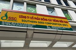 Giống cây trồng miền Nam mất gần 20% lợi nhuận sau soát xét, cổ phiếu lao dốc
