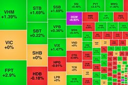 FPT phục hồi, một mã bán lẻ tăng hơn 30% từ đáy