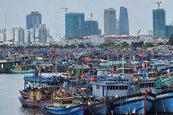 Nghiên cứu chuyển cảng cá lớn nhất miền Trung thành cảng du lịch