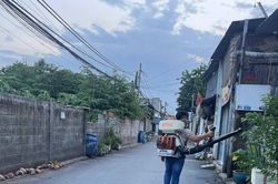 TP Hồ Chí Minh xây dựng 'lá chắn kép' phòng bệnh sốt xuất huyết