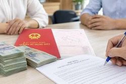 Chủ đầu tư nhận thanh toán tiền mặt có thể bị phạt 300 triệu đồng
