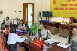 Cơ quan thuế xử lý gần 95.000 mã số thuế tồn đọng