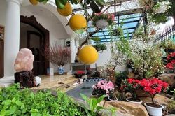 Cơ ngơi hàng sang trọng, đầm ấm tại Việt Nam của Tuấn Hưng trước khi đưa vợ con sang Mỹ