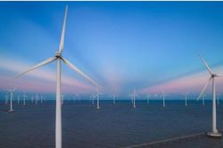 Cà Mau chấp thuận chủ trương hai dự án điện gió công suất khoảng 100MW