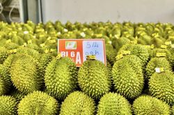 Lâm Đồng đẩy mạnh quản lý mã số vùng trồng phục vụ xuất khẩu