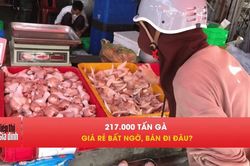 217.000 tấn gà giá rẻ nhập khẩu, người Việt đang ăn gì?
