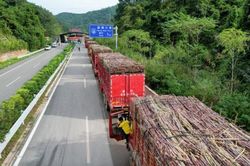 Dự trữ đường lớn giúp Trung Quốc giảm sức ép từ cơn sốt giá đường toàn cầu