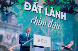 Không phải ưu đãi, doanh nghiệp tư nhân cần 'luật chơi' công bằng và minh bạch
