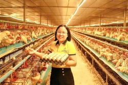 Nữ nông dân xuất sắc Nguyễn Thị Hồng: Hành trình đến với chuỗi giá trị nông nghiệp xanh