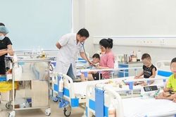 Bé trai 8 tuổi sốc phản vệ nguy kịch sau khi bị ong vò vẽ đốt