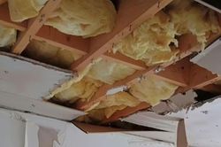Đi du lịch 3 tuần trở về, người phụ nữ không tin nổi cảnh trước mắt: Hóa đơn hơn 5 tỷ đồng chờ sẵn