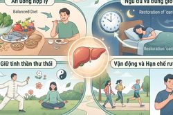 Dưỡng gan theo Y học cổ truyền