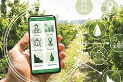 Đơn giản h&oacute;a TTHC trong cấp, quản l&yacute; m&atilde; số v&ugrave;ng trồng, m&atilde; số cơ sở đ&oacute;ng g&oacute;i