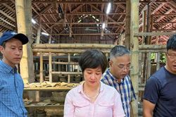 Xây dựng đề án định giá kinh tế di sản thế giới