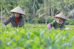 Mở không gian phát triển, tạo sức bật kinh tế vùng