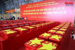 Thành kính tiếp nhận 13.563 mẫu hài cốt liệt sĩ tại sân bay Gia Lâm