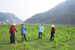 Đưa nghị quyết của Đảng vào cuộc sống