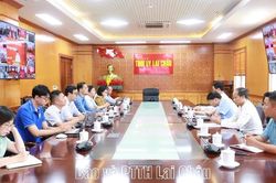 Hội nghị tập huấn triển khai thủ tục hành chính của Đảng trên môi trường điện tử, giai đoạn 2