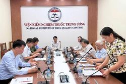 Xây dựng cơ sở khoa học đưa sâm Lai Châu vào Dược điển Việt Nam