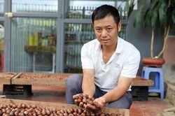 Mắc ca mở hướng vùng xa