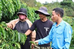 Tiếp vốn, tiếp sức thanh niên Lâm Đồng lập nghiệp
