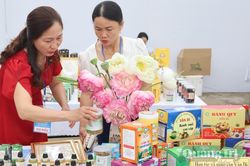 Tạo sức bật cho kinh tế nông thôn