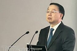 Kỳ vọng Việt Nam không chỉ là thị trường phân bổ vốn, mà còn là đối tác chiến lược của nhà đầu tư Anh Quốc