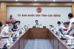 Hội nghị Ban Thường vụ Đảng ủy UBND tỉnh lần thứ 41