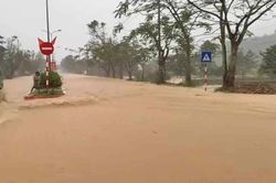 Chủ động ứng phó áp thấp nhiệt đới và mưa lớn tại miền Trung