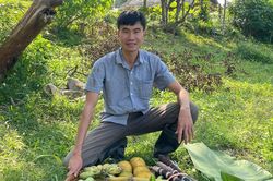 'Nghỉ hưu' ở tuổi 31, vợ chồng cầm 4 tỷ về vùng núi mua đất, làm nhà