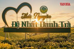 Thái Nguyên biến văn hóa trà thành sản phẩm du lịch