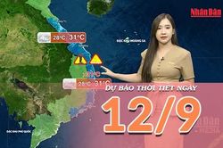 [Video] Dự báo thời tiết ngày 12/9/2026: Mưa lớn tiếp tục bao trùm Trung Bộ và Nam Bộ