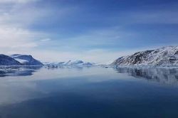 Phát hiện hệ sinh thái bí ẩn tại sông băng Greenland