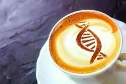 Caffeine có thể kích hoạt 'công tắc' tế bào cổ xưa liên quan đến lão hóa