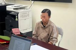 Bán 'khống' đồi cây gỗ bóc qua Facebook, nữ quái chiếm đoạt hơn 200 triệu đồng
