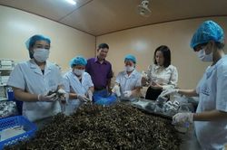 Từ 100m2 trồng nấm, vợ chồng ở Quảng Trị gây dựng HTX doanh thu 18,5 tỷ đồng