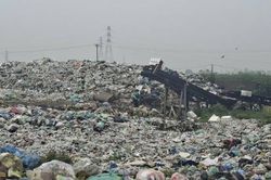 Kiên quyết không thu gom, vận chuyển rác thải chưa được phân loại tại nguồn