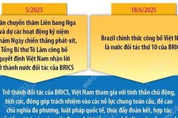Việt Nam chủ động, tích cực, đóng góp trách nhiệm vào các hoạt động của BRICS
