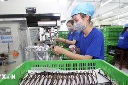 Biến sự gần gũi và niềm tin chính trị Việt-Pháp thành hợp tác cụ thể
