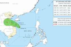 Áp thấp nhiệt đới giữ cường độ, cách đặc khu Hoàng Sa khoảng 150km
