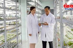 TP Hồ Chí Minh cụ thể hóa Nghị quyết 57 - Bài cuối: Thu hút nhân tài, tạo động lực mới