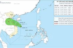 Áp thấp nhiệt đới giữ cường độ, cách đặc khu Hoàng Sa khoảng 150km